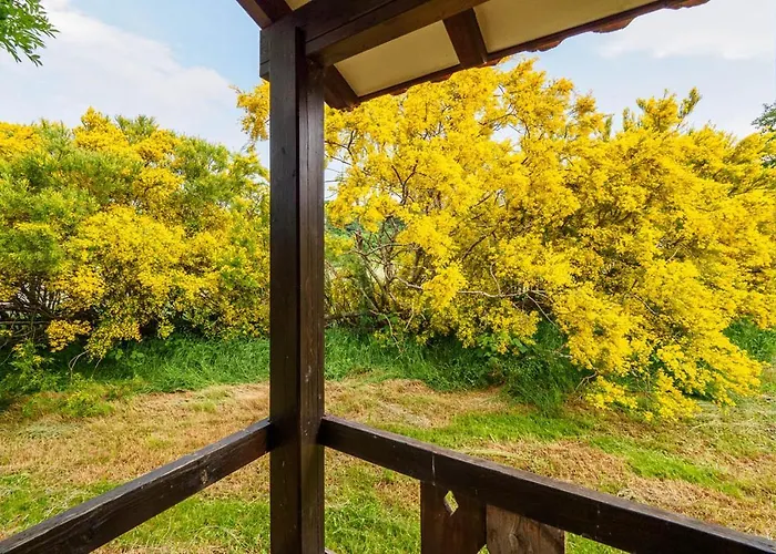 Complejo Puente * Entrambasaguas (Hermandad de Campoo de Suso)